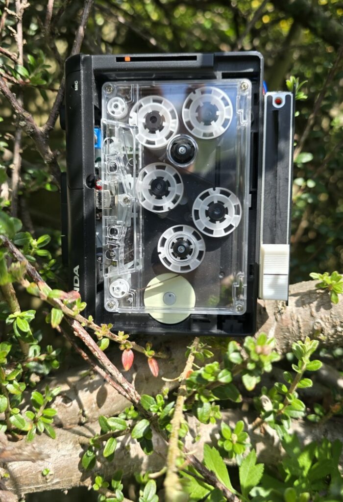 Tape Looper