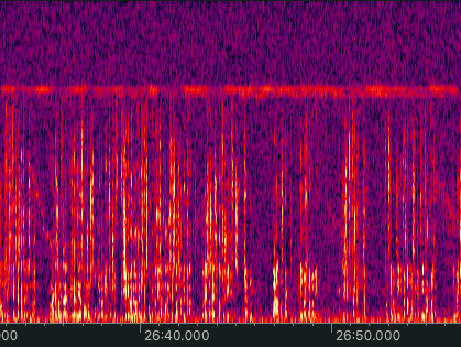 03_TV-Einstreuung In der Spektralansicht deiner Audiosoftware (hier das kostenlose Ocenaudio) sind manche Probleme auf den ersten Blick zu erkennen.