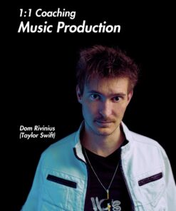 Coaching Pop-Musik produzieren – Songs für die Charts produzieren