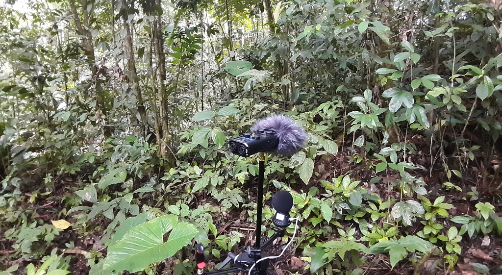 FieldRecorder_01_jpg